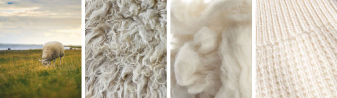 laine merinos responsable vues de la production