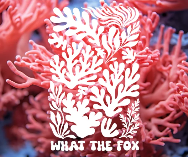 visuel du t-shirt sur fond corail